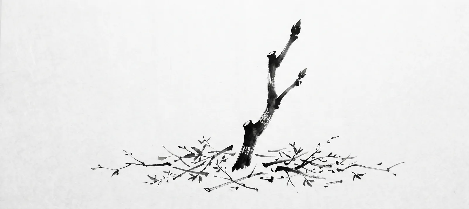 A pruned trunk with cut branches scattered at its base, painted in sumi-e ink wash